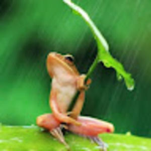 Meet your Posher, Gabriela